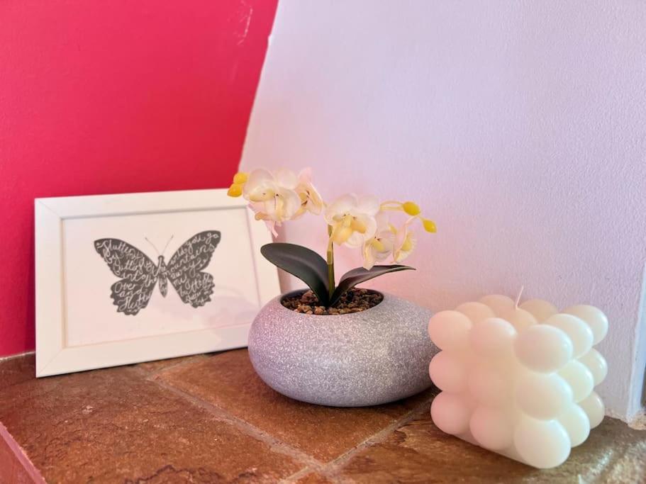 Cozy Fairytal Garden Apartment, Family Friendly, Free Parking, 15 Min To Airport เอเธนส์ ภายนอก รูปภาพ